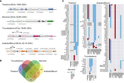Analysis of Arabidopsis non-reference accessions reveals high diversity of metabolic gene clusters and discovers new candidate cluster members